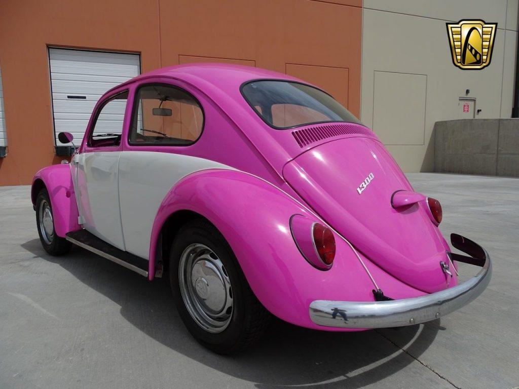 CUTE 1966 Volkswagen Beetle