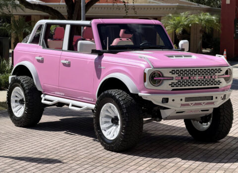 2025 Ford Custom Lifted Pearl Pink Outer Banks Retro Hard Top for sale
